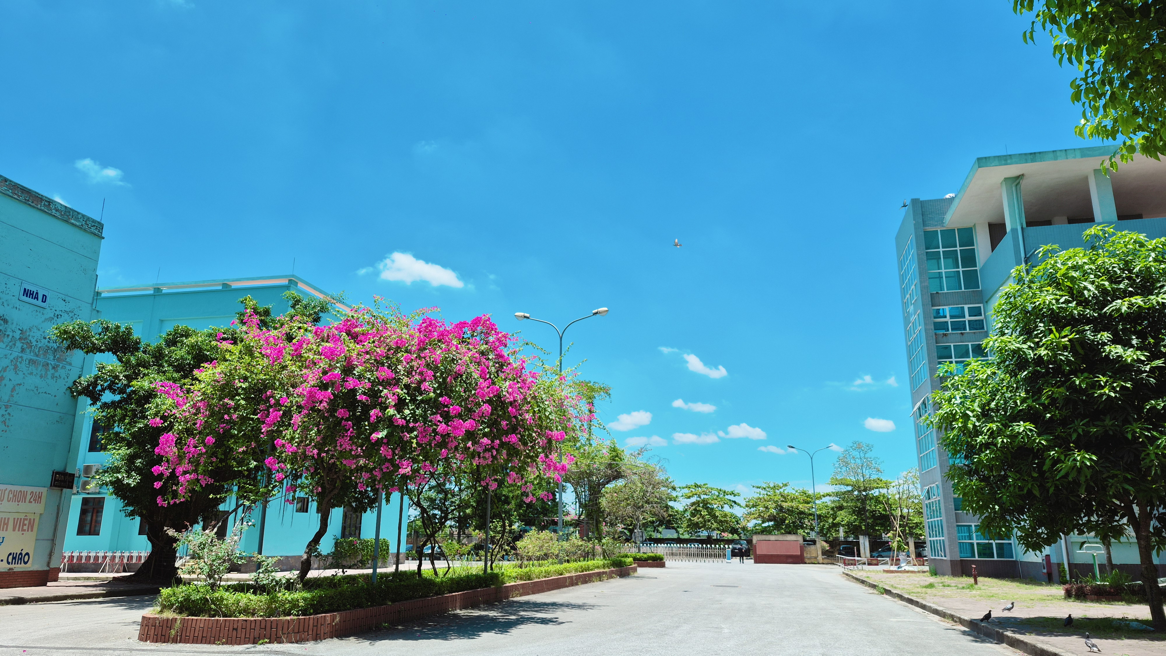 NGÀNH Y TẾ HƯNG YÊN TĂNG CƯỜNG BẢO VỆ MÔI TRƯỜNG, XÂY DỰNG CƠ SỞ Y TẾ XANH – SẠCH – ĐẸP