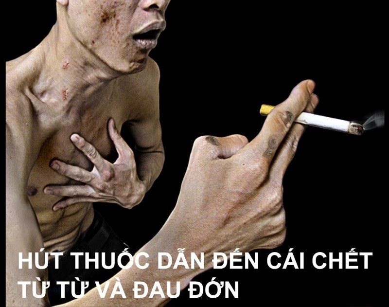 Thuốc lá – nguyên nhân gây ra nhiều bệnh tật, giảm tuổi thọ tăng tỷ lệ tử vong