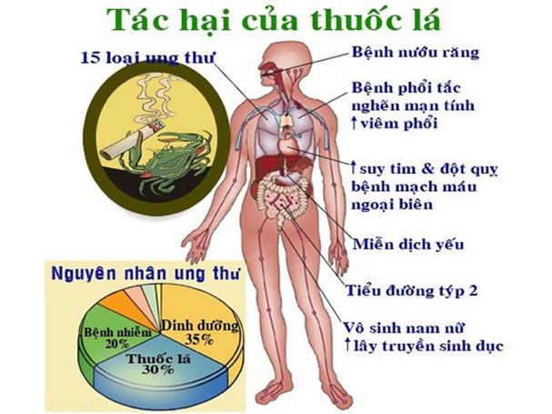   Tác hại của hút thuốc lá tới sức khỏe