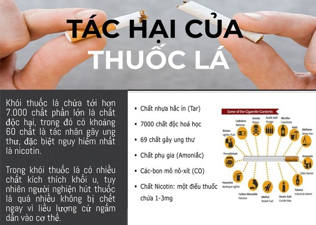 Thuốc lá chứa rất nhiều chất độc hại đối với con người